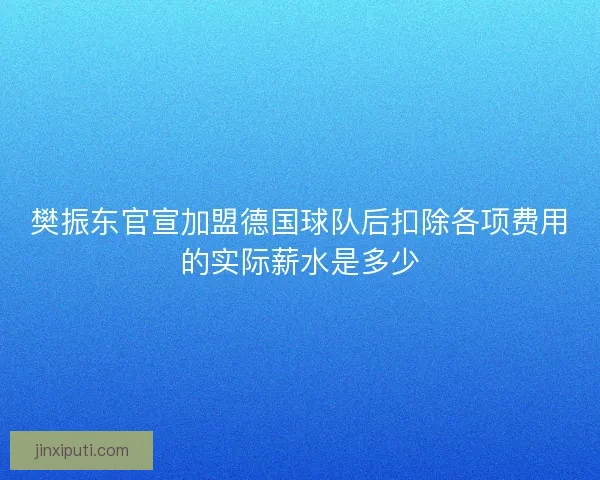 樊振东官宣加盟德国球队后扣除各项费用的实际薪水是多少